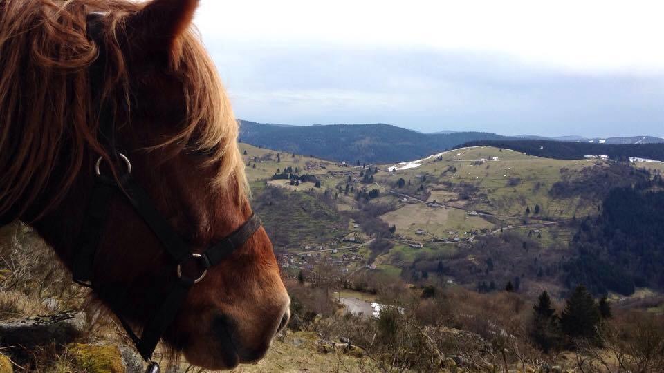 Equi'Val Villa Le Tholy Bagian luar foto